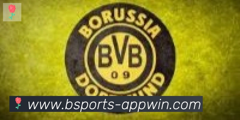bsports体育合作伙伴